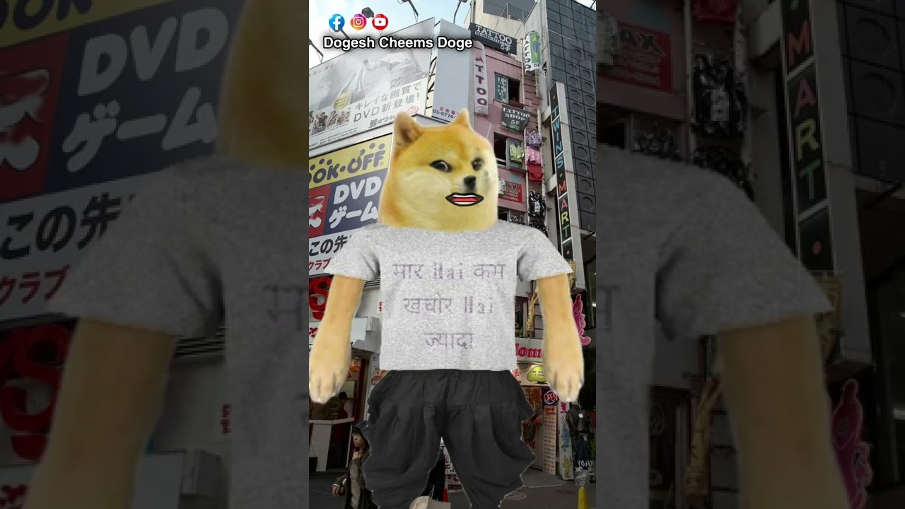 Chimtu Op 🤣 | Dogesh Doge | Cheems Memes | Chimtu | Vimdhayak Ji | Dogelina | Funny | Comedy | Meme