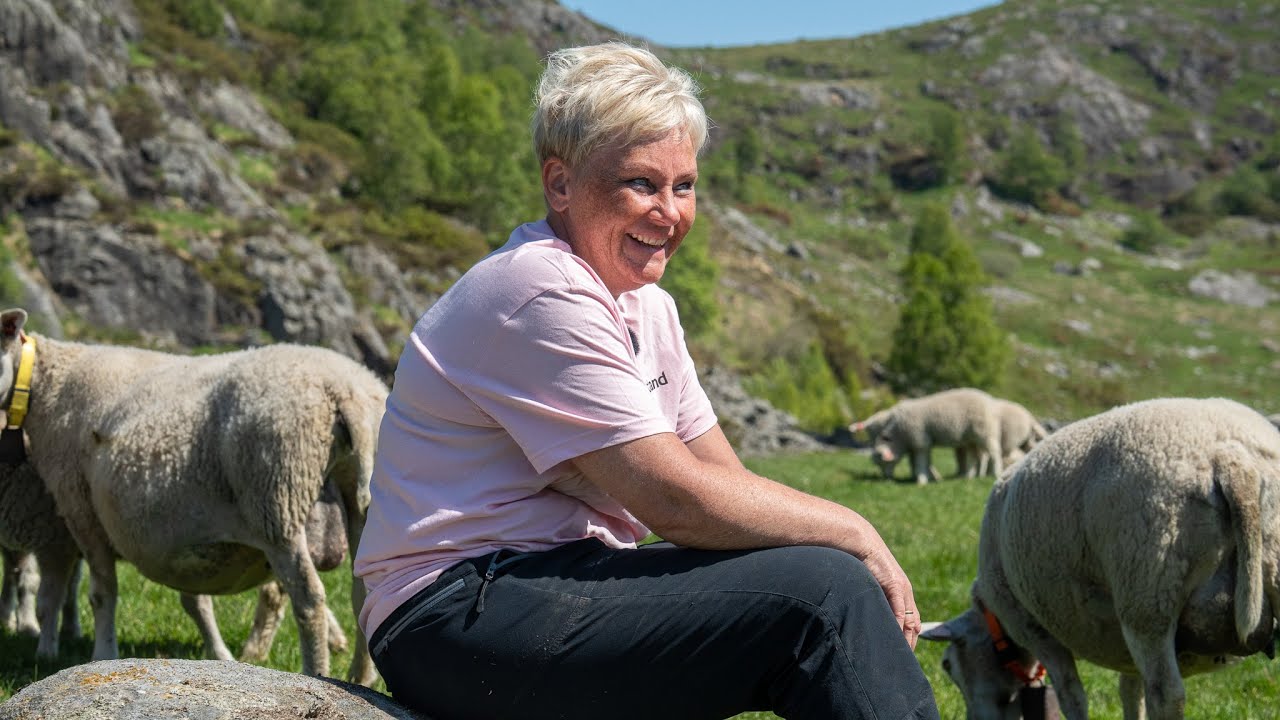 Tjøtta Gård - Vi har ikke angret én dag!