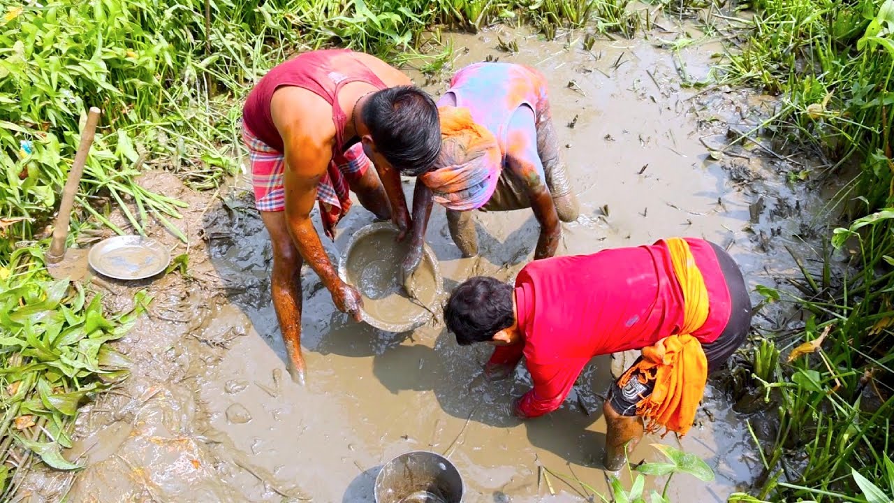 ছোট কেনেল হেঁচে কত মাছ ধরলাম দেখুন | Village style fishing and cooking | village cooking vlog