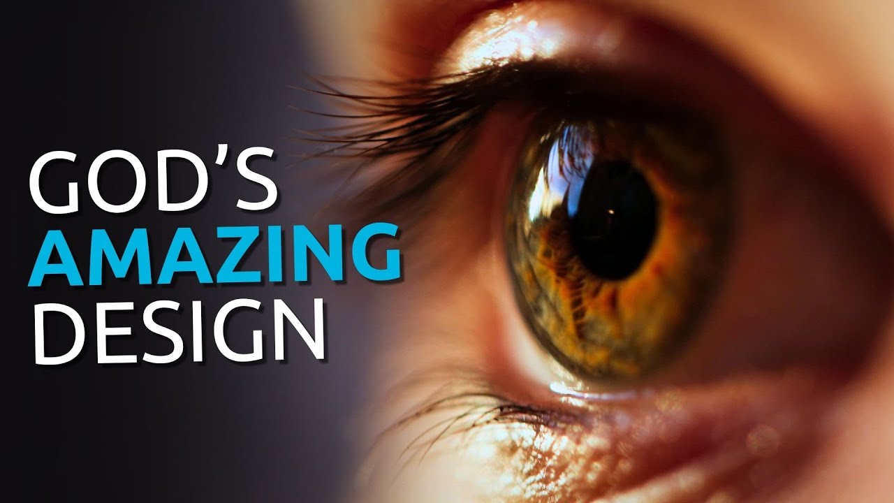 The MIND-BLOWING Design of Human Eyes