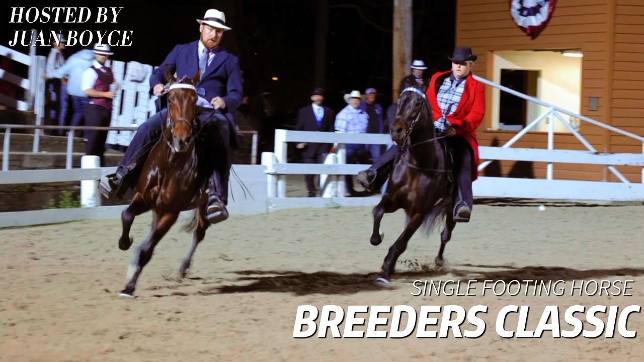 Single-footing Horse Breeders Classic Recap Video‼️🔥🎥