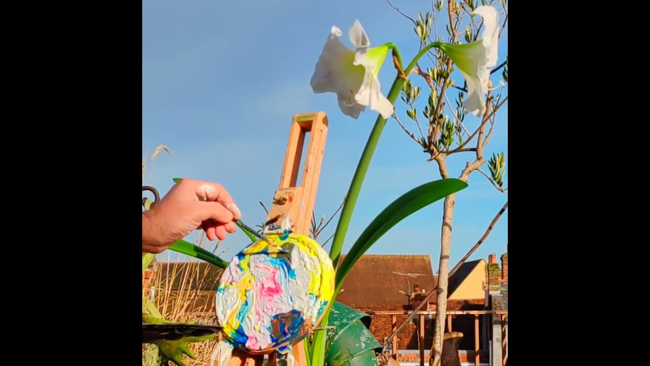 Amaryllis 