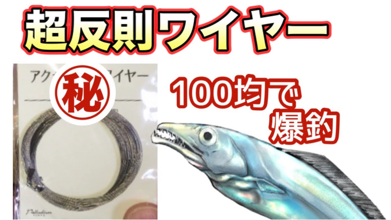 【太刀魚釣り】太刀魚ワイヤー　100均品のススメ