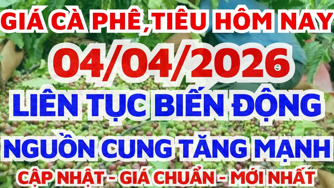 Gi&aacute; c&agrave; ph&ecirc; h&ocirc;m nay ng&agrave;y 4/4/2026 NGUỒN CUNG TĂNG MẠNH/gi&aacute; hồ ti&ecirc;u h&ocirc;m nay/Bơ lang thang