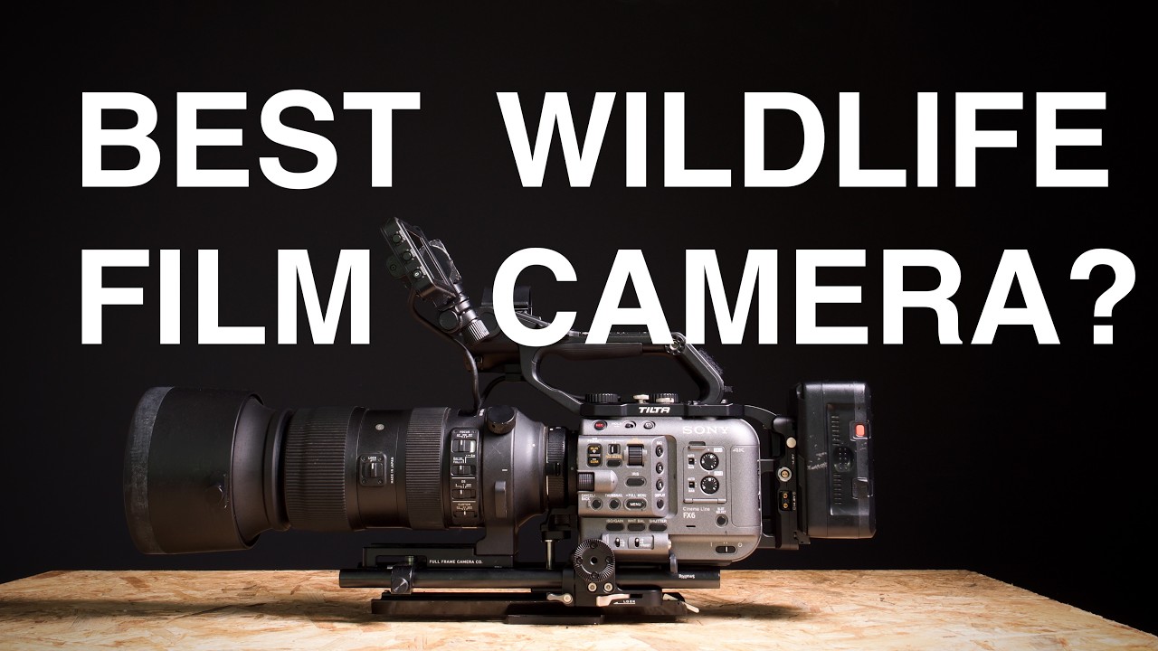 The ULTIMATE Wildlife Camera? Why I bought the FX6 | Versatile, Good Value, Easy to Use