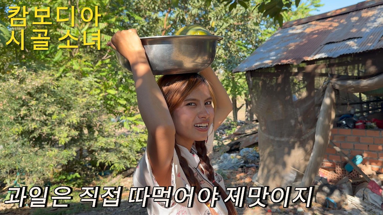 시골 나무 열매 종류별로 따먹기