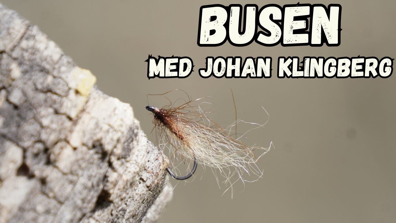 Busen med Johan Klingberg - SVENSKT TAL