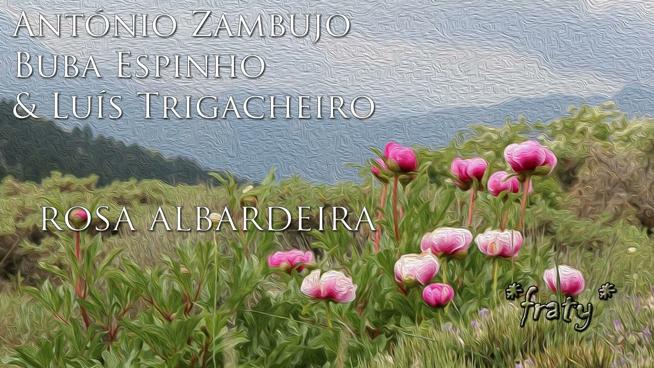 António Zambujo, Buba Espinho e Luís Trigacheiro - Rosa Albardeira (fraty clean)