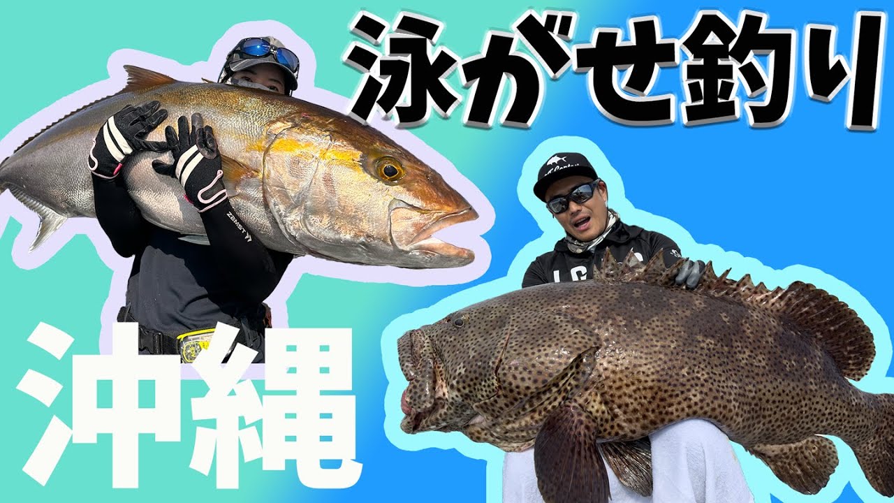 沖縄で巨大カンパチ・ミーバイを釣り上げる！【泳がせ釣り】