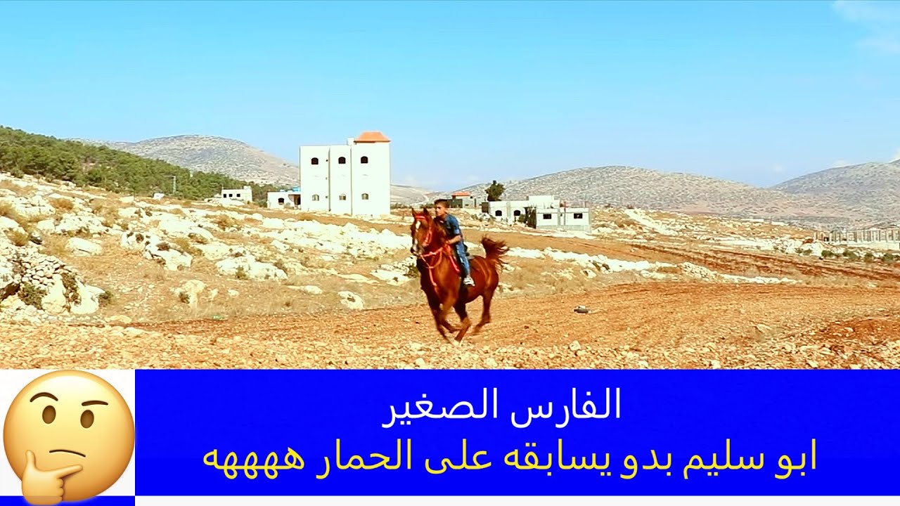 ابو سليم وإقطع الحلقة ( 4 ) ضيف الحلقة - الفارس الصغير أحمد الطوباسي Horse Riding by Small Child