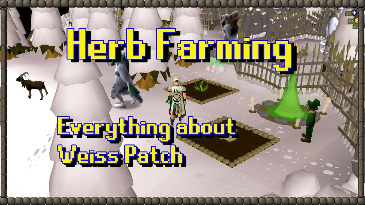 Weiss Patch Upgrade guide