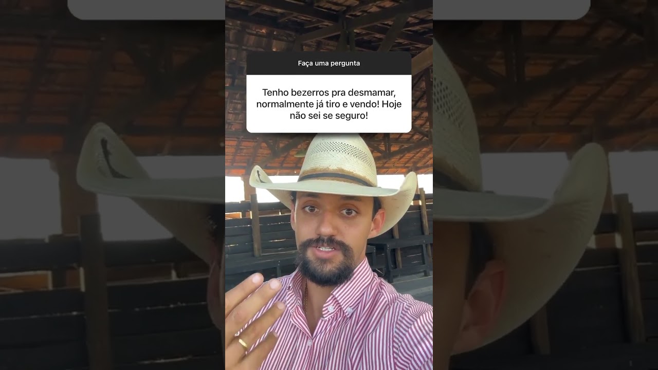 Considera&ccedil;&otilde;es sobre Segurar ou Vender Bezerros de Desmama! #pecuaria #dicas #boi #fazenda #gest&atilde;o