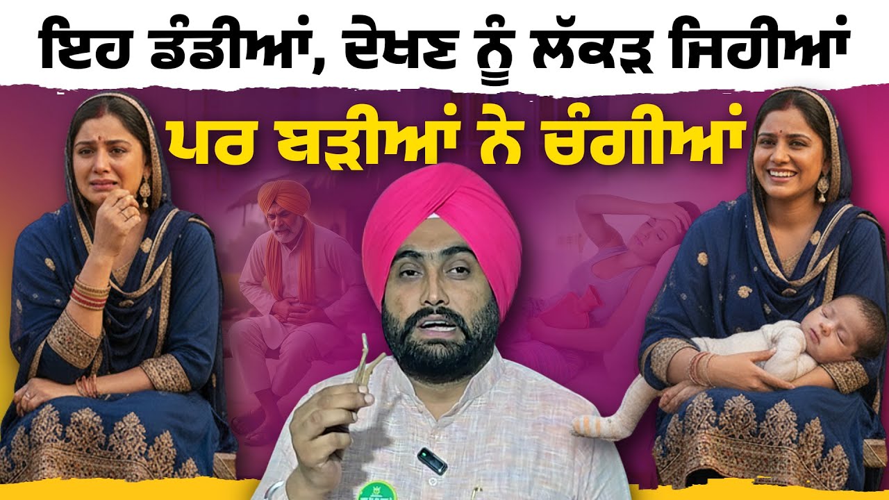 ਇਹਨਾਂ ਡੰਡੀਆਂ ਦੇ ਹਨ ਬੇਹਿਸਾਬ ਅਤੇ ਬੇਮਿਸਾਲ ਫ਼ਾਇਦੇ। ਇਕ ਵਾਰ ਵੀਡੀਓ ਜ਼ਰੂਰ ਦੇਖੋ | Dr. Bhullar Di Class
