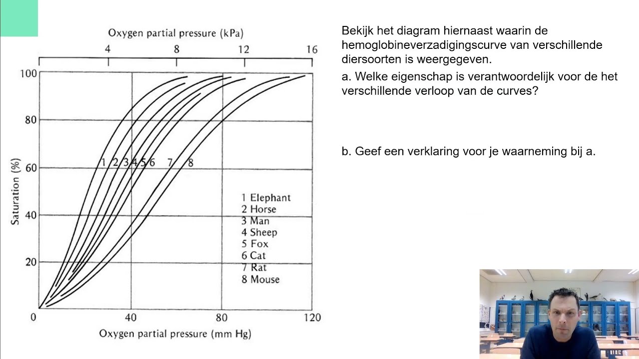 Oefenen bloed 》 Hemoglobineverzadigings curve / bohr-effect /oxyhemoglobine (vwo examen)