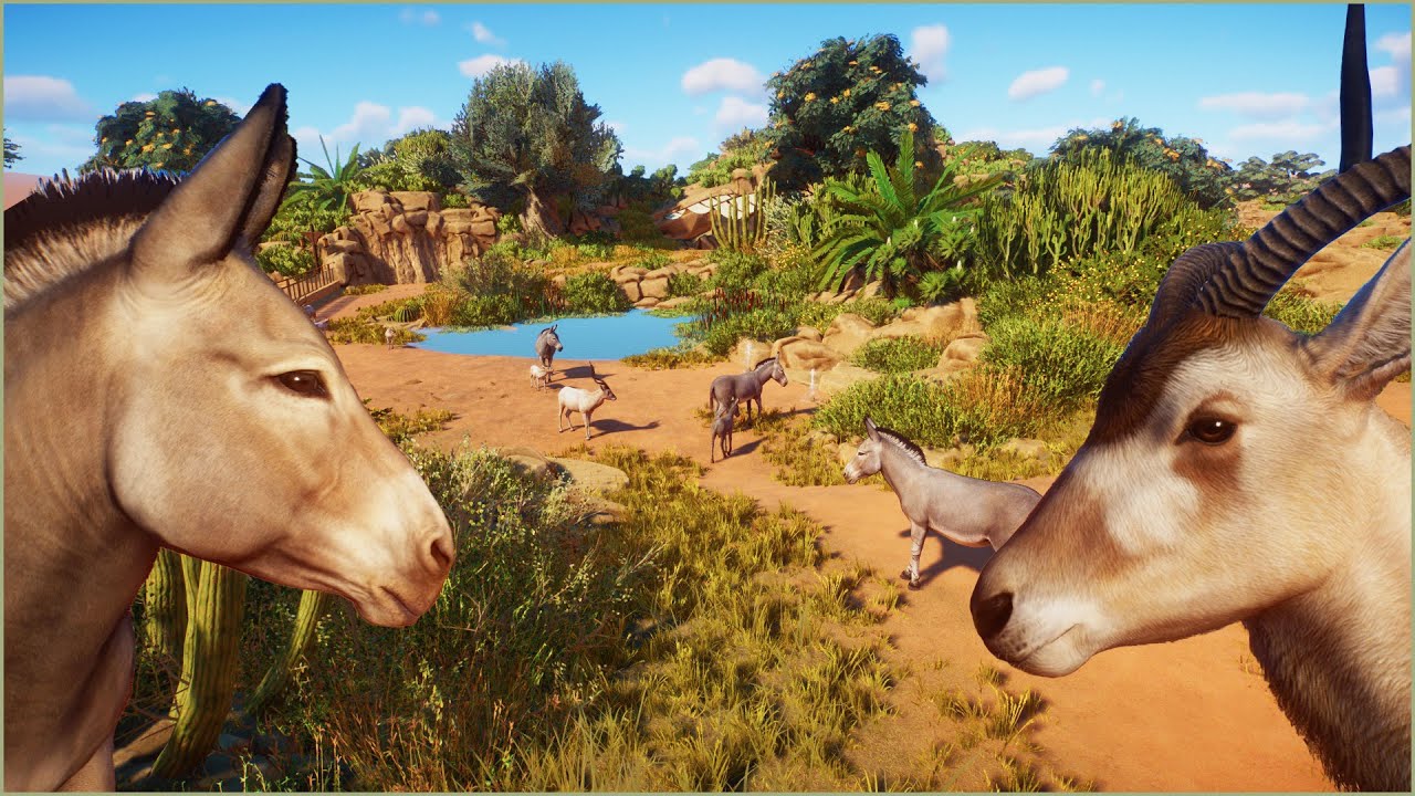 🫏 Somali wild ass & Addax habitat in the desert | Majah Zoo | Planet Zoo | speedbuild 🌵
