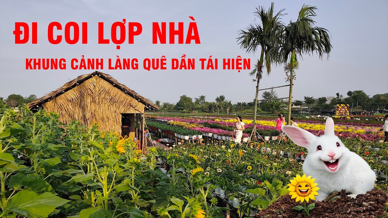 ĐI COI LỢP NHÀ - TIỂU CẢNH TẾT XƯA, TỔ HỢP TÁC HOA KIỂNG TÂN AN - P.2