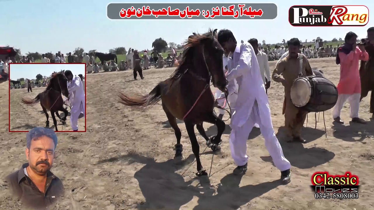 Best Horse Dance Darbar Panjan Noon Pandi Bhattian 2019 Jani  Shukat Ali Bhatti Baga-56