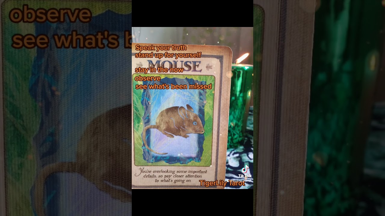 A spirit animal message from the #Angels #TigerLilyTarot #oracle reading