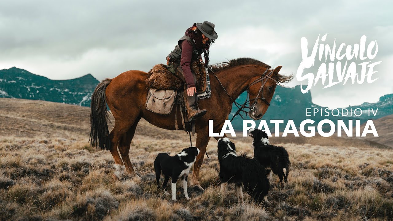 Tierra de Pumas | Ep.04 Vínculo Salvaje