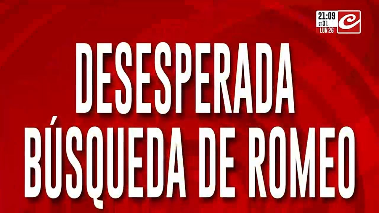 Desesperada búsqueda de Romeo: salio a jugar y no volvió mas