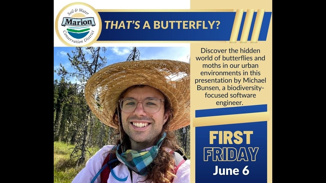 First Friday - That's a Butterfly?