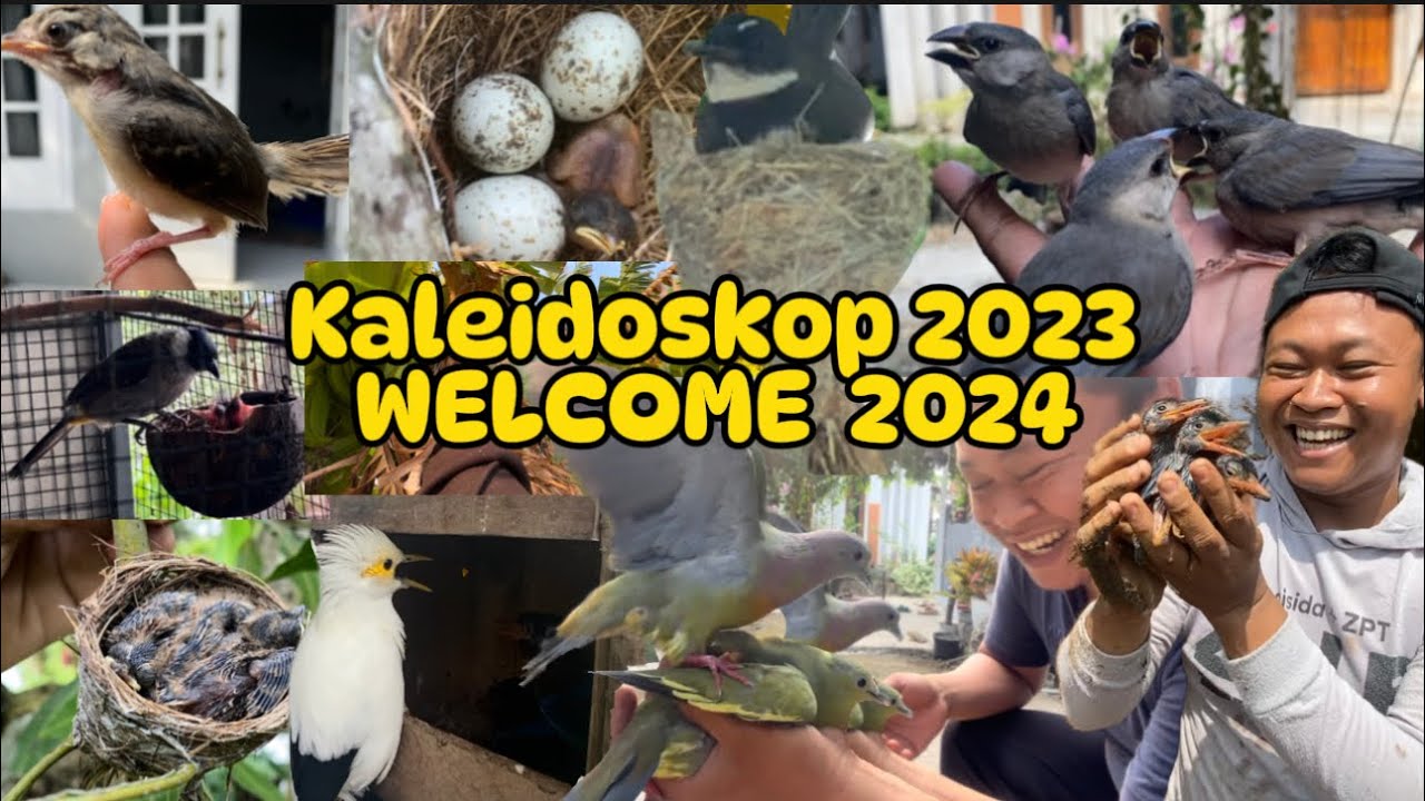 Welcome 2024, inilah kenangan2 manis tahun 2023