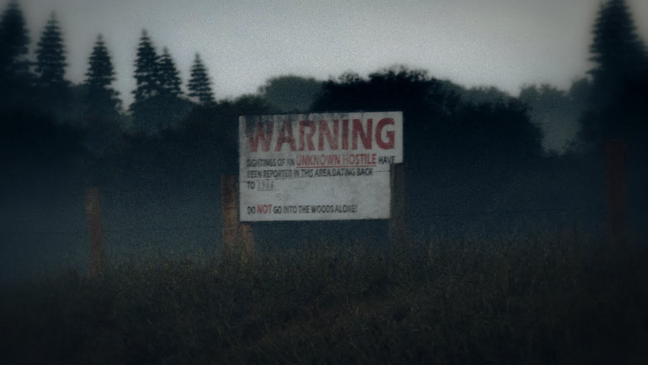 Fog Advisory (Audio)