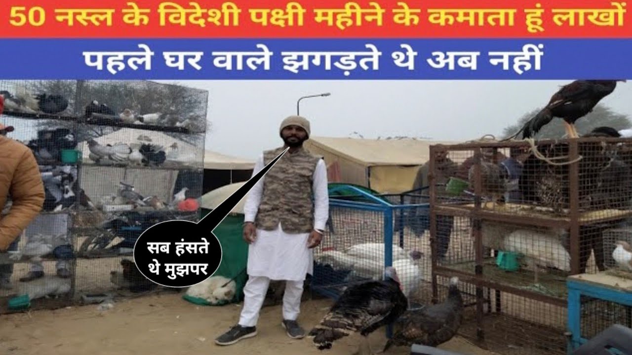 50 नस्ल के पक्षी रखता हूँ महीने के कमाता हूँ लाखों!50 type of birds kamata hu lakho!@farmingbaba