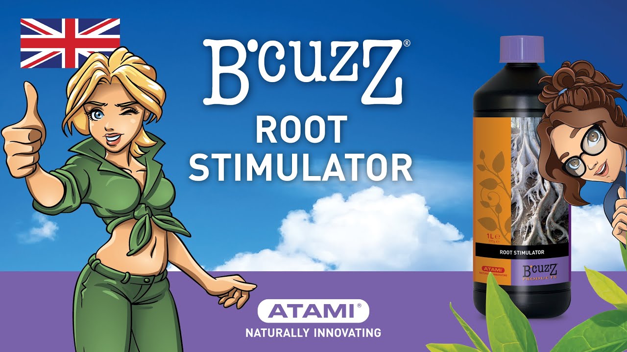 B'cuzz Root Stimulator | (Animation EN)
