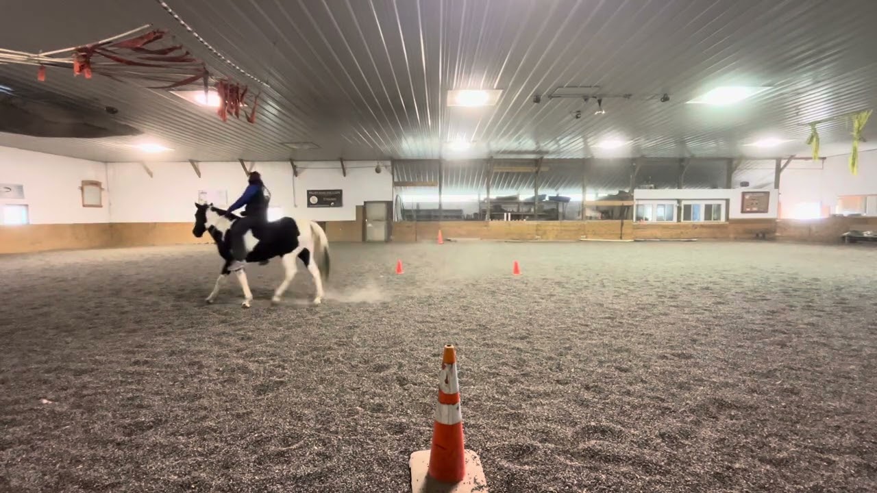 2025 1110 TL Bridleless N p1