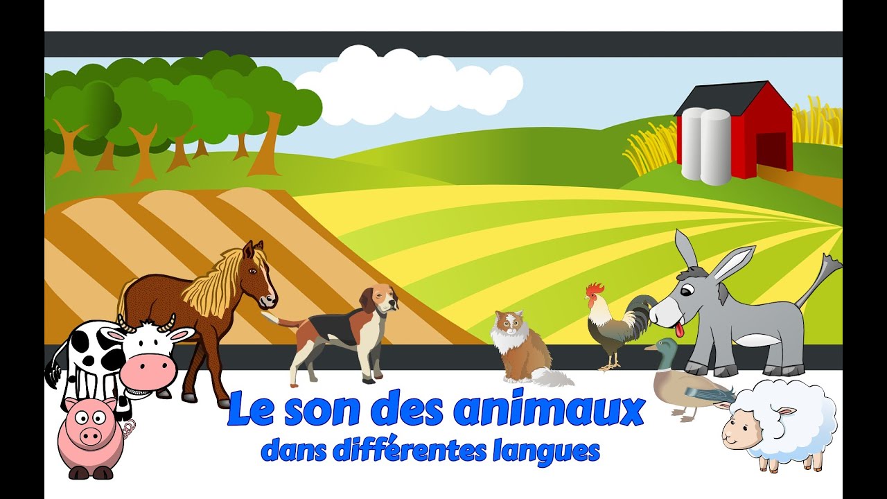 Onomatopées - Le son des animaux dans différentes langues