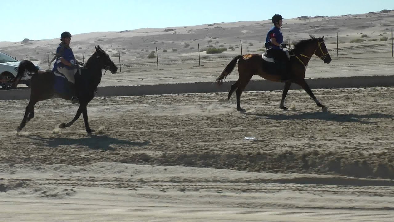 Emirates Endurance Federation,Abu dhabi S.M.Hadi (rider)