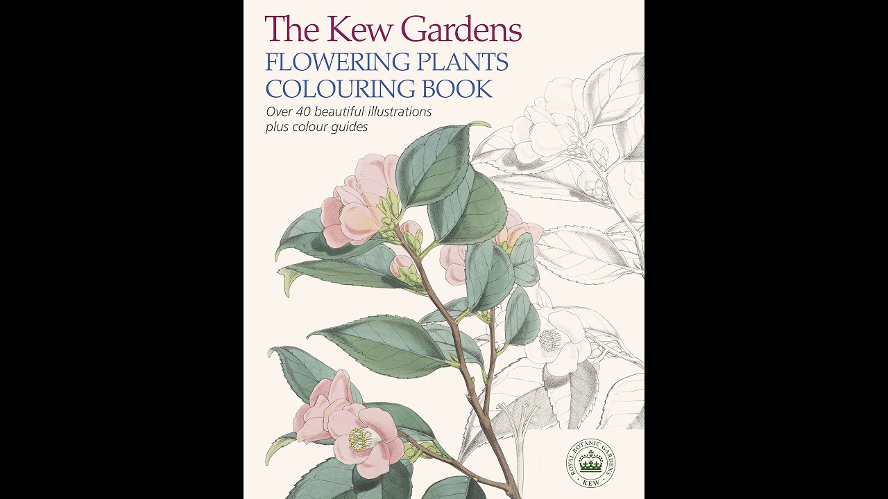 Flip Through The Kew Gardens Flowering Plants Colouring Book