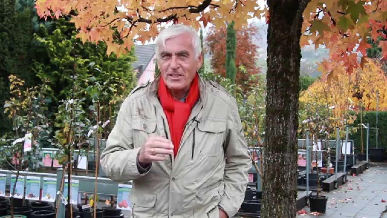 VOL.AT-Gartentipp: Laub als Kompost