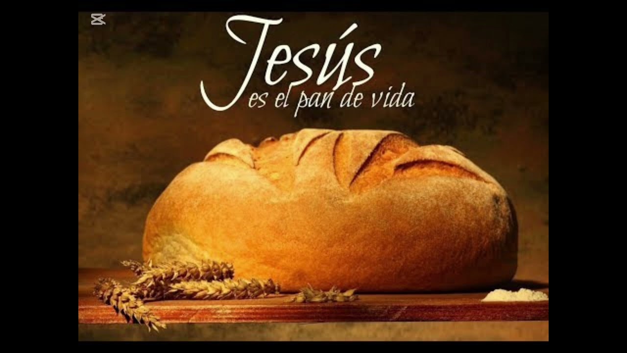 Permite que el amor de Dios te llene de amabilidad🙏🕊️
