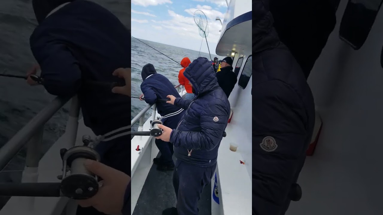 Fishing Prank