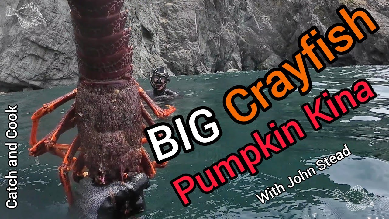 Crayfish and Pumpkin Kinas! [ Catch and Cook in the Queen Charlotte Sounds with John Stead ]