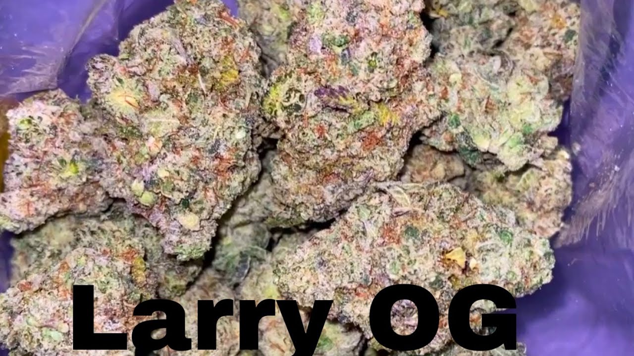 FIRST TIME TRYING LARRY OG | STRAIN REVIEW