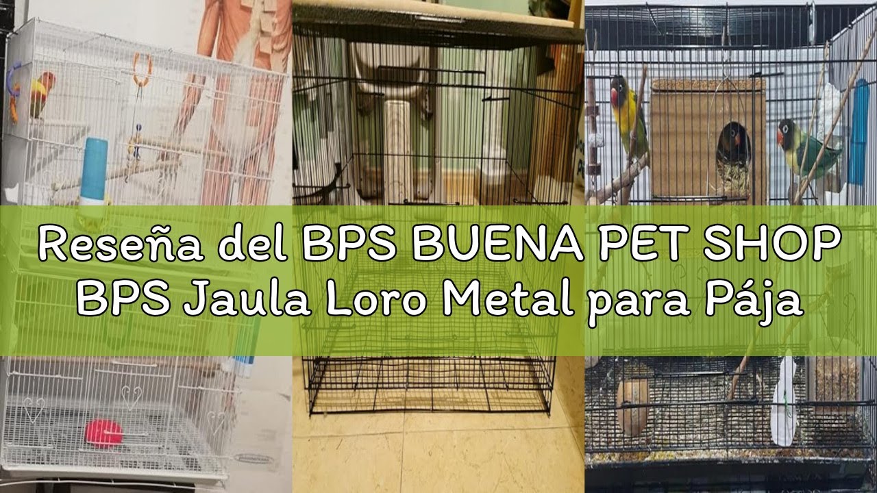 Reseña del BPS BUENA PET SHOP BPS Jaula Loro Metal para Pájaros Pajarera Periquito Canarios Jaula Gr
