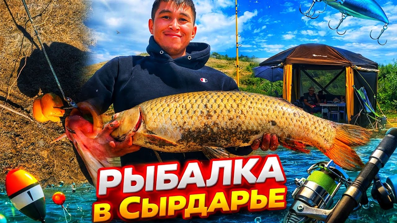 1-часть.🔥 Открытие рыболовного сезона 2025 на Сырдарье!Такого клёва мы давно не видели сазан и сом!
