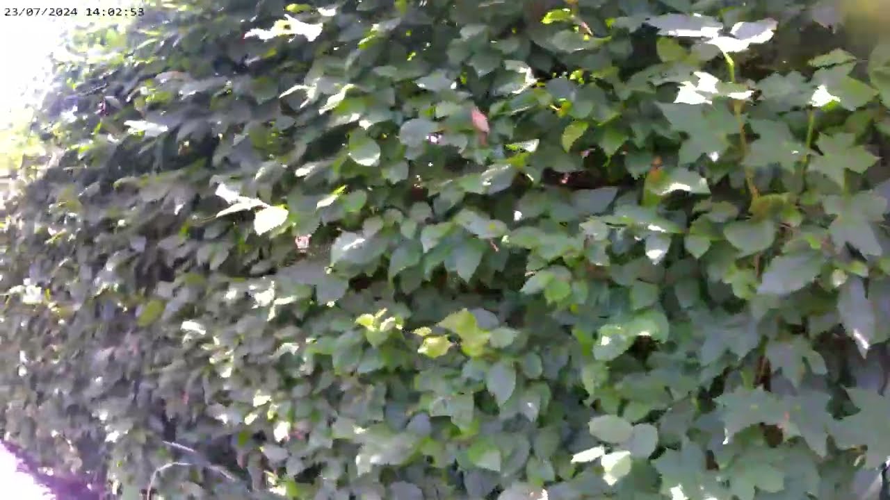 Baguley Hall wythenshawe