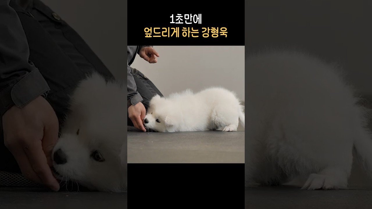 참 쉽죠?