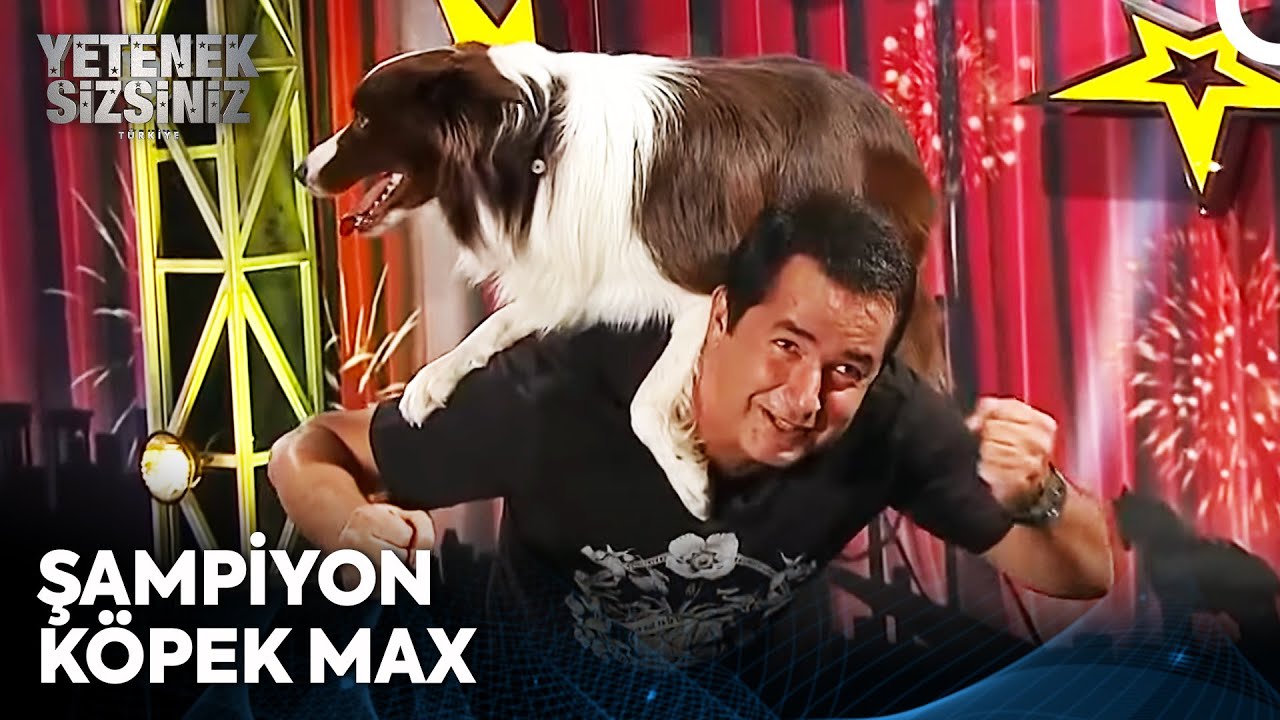 Şampiyon Max'in Muhteşem Performansları 😍 | Yetenek Sizsiniz Türkiye