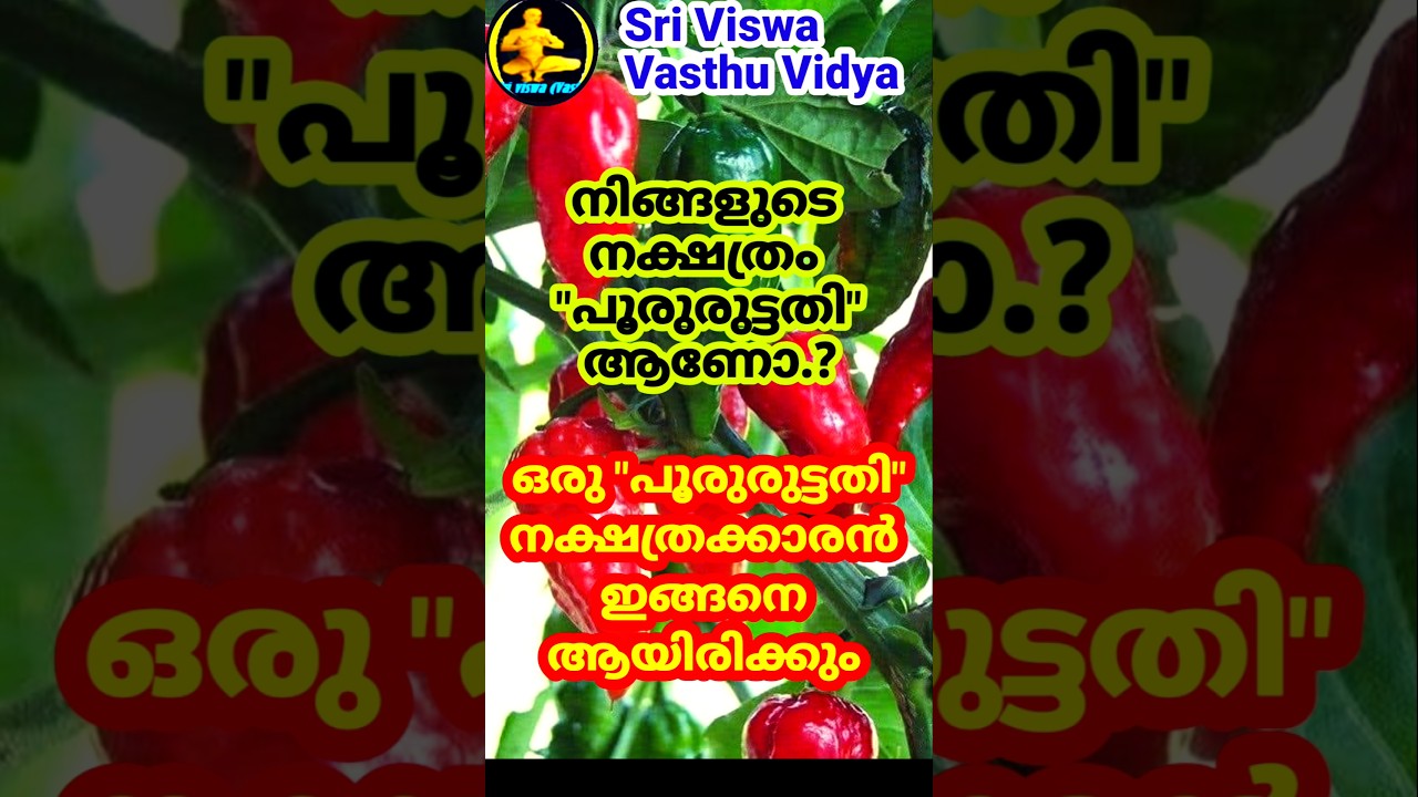 Pooruruttathi ~ Men ||ഒരു പൂരുരുട്ടാതി നക്ഷത്രക്കാരൻ ഇങ്ങനെ ആയിരിക്കും || Sri Viswa Vasthu Vidya