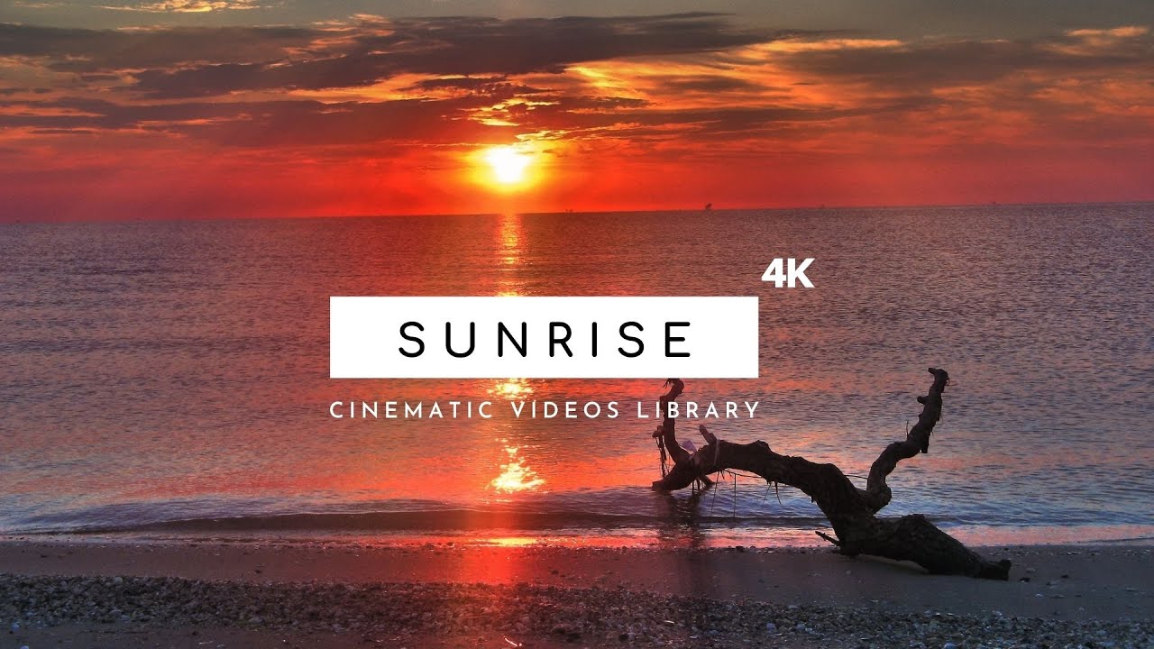 Sunrise - Cinematic Videos 4K | Free Sunrise Footage Stock