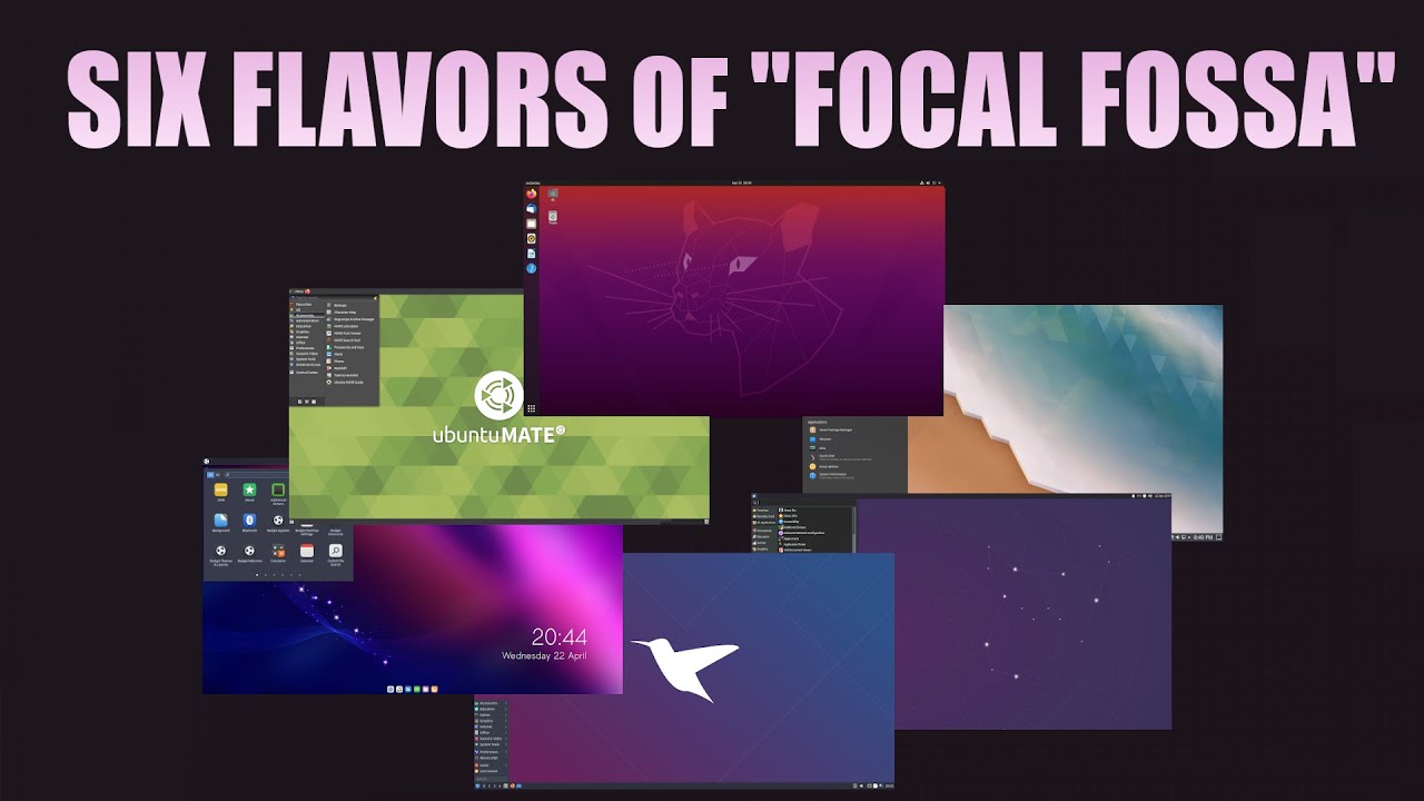 Предварительный обзор шести версий Ubuntu 20.04 &laquo;Focal Fossa&raquo;