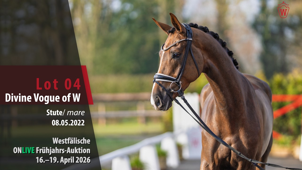 ONLIVE Frühjahrs-Auktion Lot 04 Divine Vogue of W Stute v. Dynamic Dream - Fidertanz