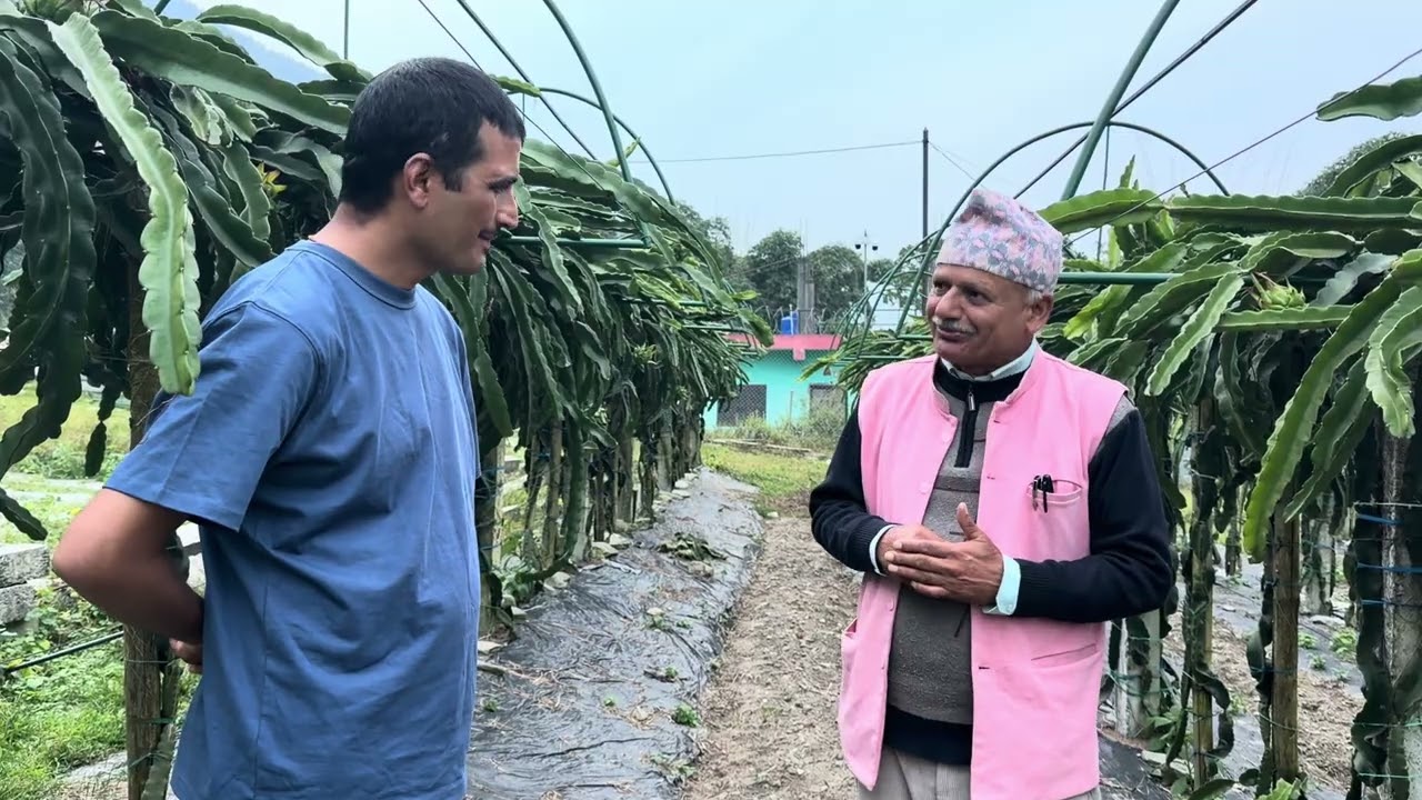 मार्फा स्थित शीतोष्ण बागवानी विकास केन्द्रका प्रमुख सर सग खेति बारे बिचार आदान प्रदान गरिदै ।