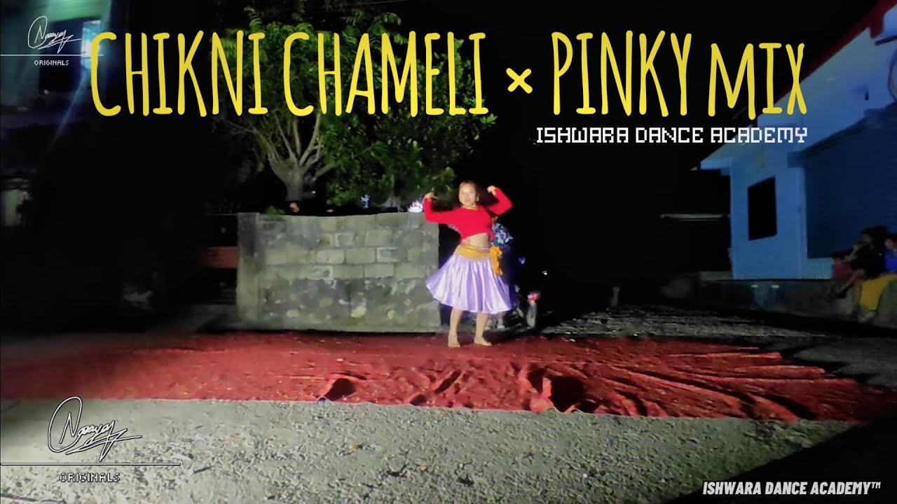 CHIKNI CHAMELI × PINKY Mix | DEUSI BHAILO BY ISHWARA DANCE ACADEMY