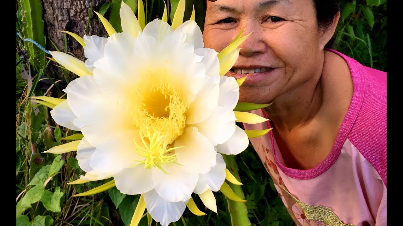 เกษตรอินทรีย์ ที่ บ้านไร่สายทอง /Organic farming atmosphere at Baan Rai Sai Thong, June 2019